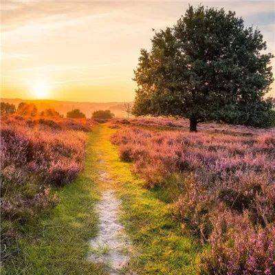 beat365手机app下载