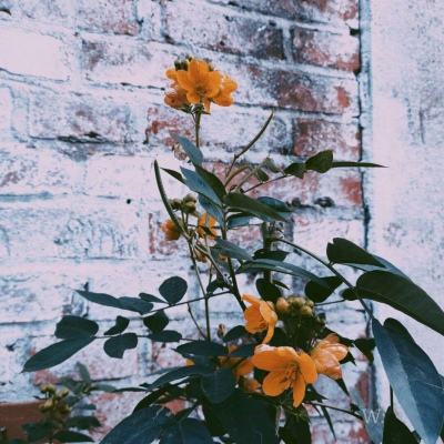 爱游戏ayx体育登录手机app下载